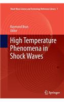 High Temperature Phenomena in Shock Waves