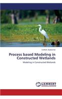 Process Based Modeling in Constructed Wetlands