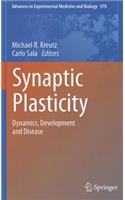 Synaptic Plasticity