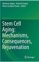 Stem Cell Aging: Mechanisms, Consequences, Rejuvenation