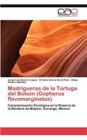 Madrigueras de La Tortuga del Bolson (Gopherus Flavomarginatus)