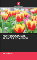 Morfologia Das Plantas Com Flor