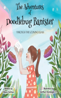 Adventures of Doodlebug Banister - through the looking glass