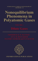 Nonequilibrium Phenomena in Polyatomic Gases: Volume 1: Dilute Gases