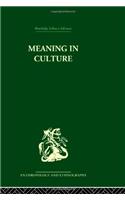 Meaning in Culture