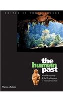 Human Past, The:World Prehistory and the Development of Human Soc