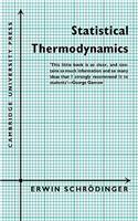 Statistical Thermodynamics: A Course of Seminar Lectures