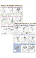 Strength Training Anatomy Poster Series