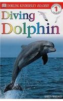 Diving Dolphin