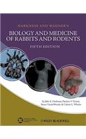 Biology Medicine Rabbits Roden
