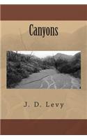Canyons