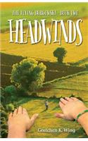 Headwinds