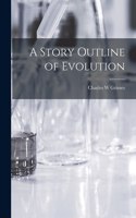 Story Outline of Evolution