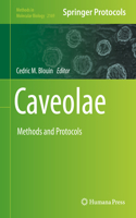 Caveolae