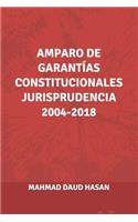 Amparo de Garantías Constitucionales Jurisprudencia 2004-2018