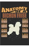 Anatomy Of A Bichon Frise
