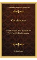 Orchidaceae