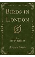 Birds in London (Classic Reprint): (English)