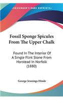 Fossil Sponge Spicules From The Upper Chalk