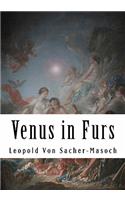 Venus in Furs