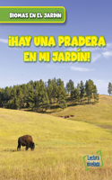 Vivo Cerca de Una Pradera (There Are Grasslands in My Backyard!)