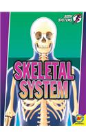 Skeletal System