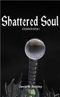 Shattered Soul