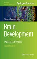 Brain Development