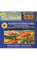 Sockeye's Journey Home