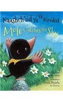 Mole Catches the Sky (Navajo/English)