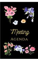 Meeting Agenda