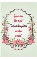 You Are The Best Granddaughter In The World