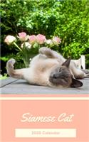 Siamese Cat 2020 Calendar: Mini Pocket Daily Weekly Monthly Yearly Planner for Siamese Cat Owner Lovers