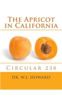Apricot in California