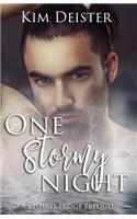 One Stormy Night