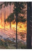 Forest Fire in California Journal: Take Notes, Write Down Memories in this 150 Page Lined Journal