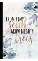 From Tiny Seeds Grow Mighty Trees