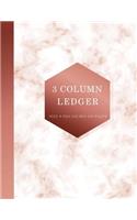3 Column Ledger