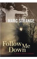 Follow Me Down: An Orwell Brennan Mystery