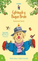 Cyfres Cae Berllan: Cyfrinach y Bwgan Brain / Scarecrow's Secret