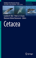 Cetacea