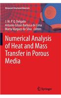 Numerical Analysis of Heat and Mass Transfer in Porous Media