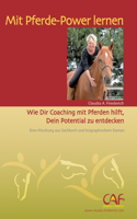 Mit Pferde-Power lernen: Wie Dir Coaching mit dem Pferd hilft, Dein Potential zu entdecken