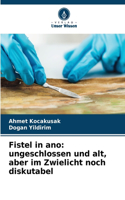 Fistel in ano