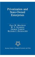 Privatization and State-Owned Enterprises