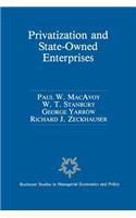 Privatization and State-Owned Enterprises