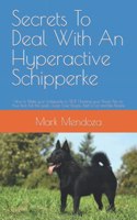 Secrets To Deal With An Hyperactive Schipperke