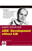 Expert One-On-One J2EE Development Without EJB