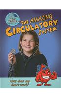 The Amazing Circulatory System: (Body Buddies)