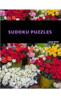 Sudoku Puzzles Large Print